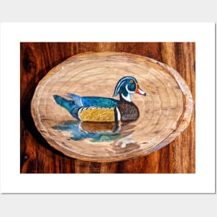 Wood Duck Reflections Posters and Art